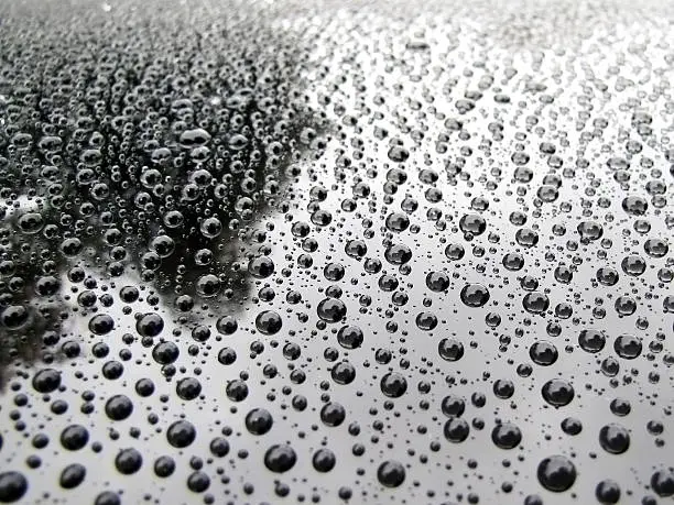 Rain drops on a car roof with reflection of tree and sky. Abstract background