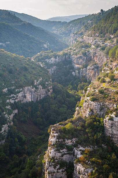 istock Pantalica's Canyons 527395649