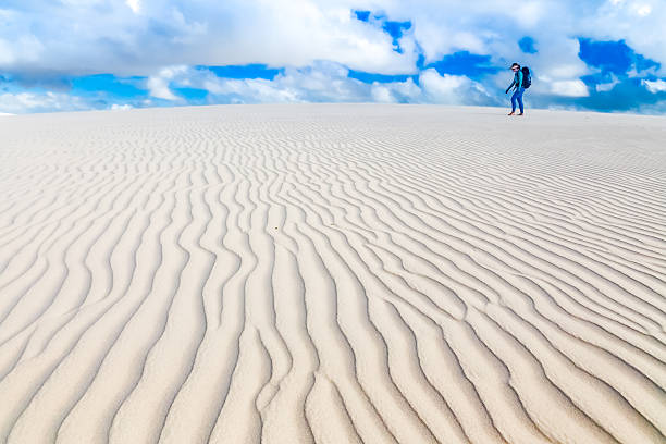 istock Lencois Maranhenses National Park 527395749