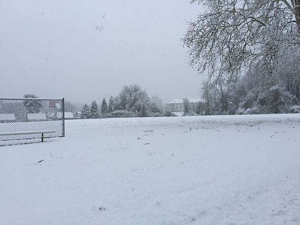 istock Snowy day at the park 527396305