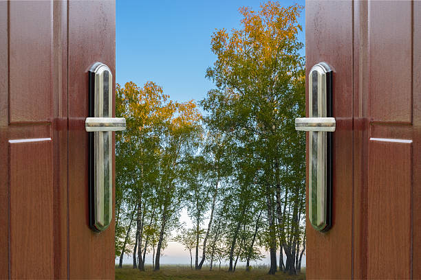 istock open door and a winter forest 527398743