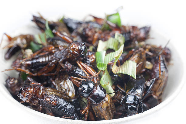 istock Crispy fried insects thai menu food. 527438303