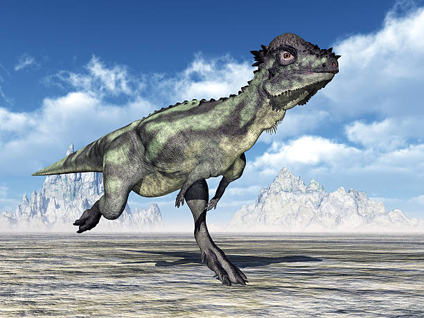 Dinosaur Pachycephalosaurus Computer generated 3D illustration with the Dinosaur Pachycephalosaurus pachycephalosaurus stock pictures, royalty-free photos & images