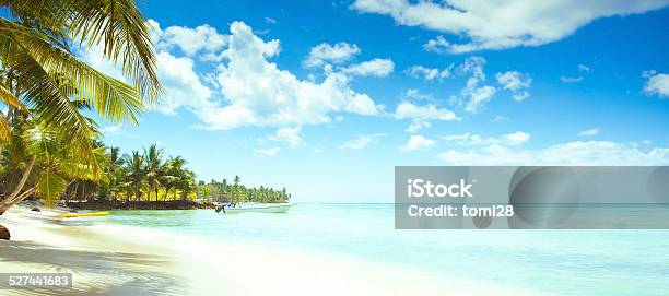 Saona Island Dominican Republic Tropical Beach Stock Photo - Download Image Now - Punta Cana, Dominican Republic, Beach