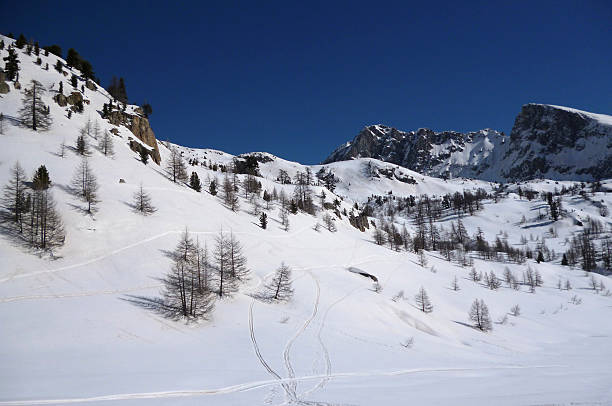 montagne enneigée - glisse foto e immagini stock