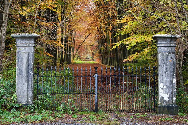 istock Lane in the woods 527444999