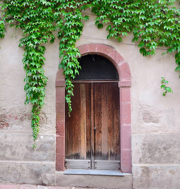 istock ivy leaves surrounding an old door 527462695