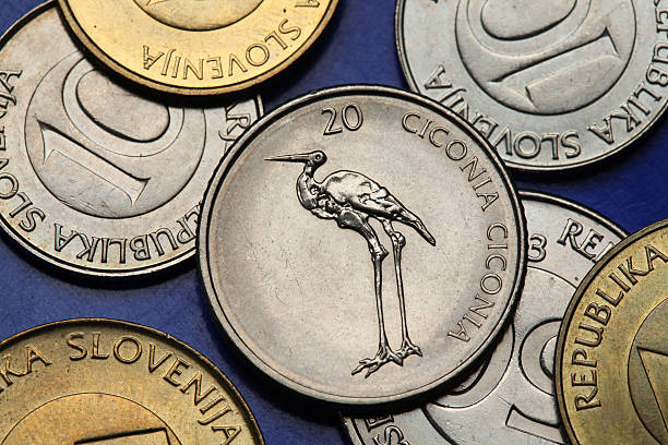 istock Coins of Slovenia 527463187