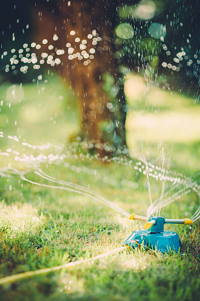 istock Garden Hose Sprinkler 527463297