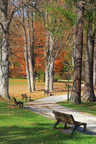 istock Bench in the autumn park 527466469