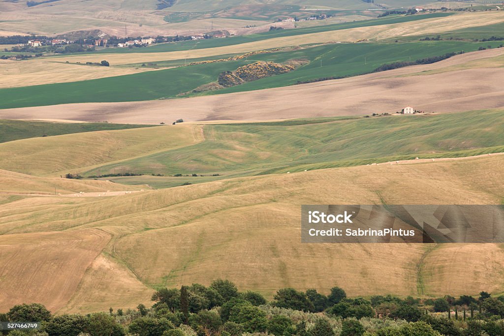 Val d'Orcia Tuscany landscape, Italy. Agricultural Field Stock Photo