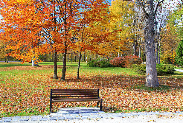istock Bench in the autumn park 527467591