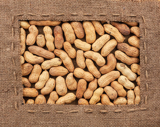 cadre en jute avec les cacahuètes se trouve sur la ligne - nobody food canvas peanut photos et images de collection