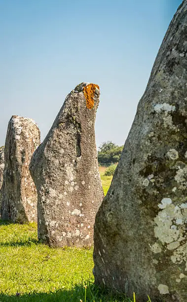 Carnac, France - Famous rows of Prehistoric megalithic monuments menhirs in Carnac area in Brittany.