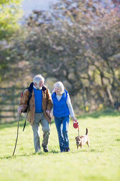 istock Couple on a Countryside Walk 527477367
