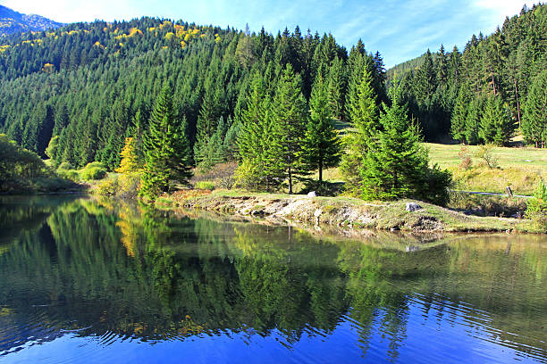 istock Reservoir in the forest 527478053
