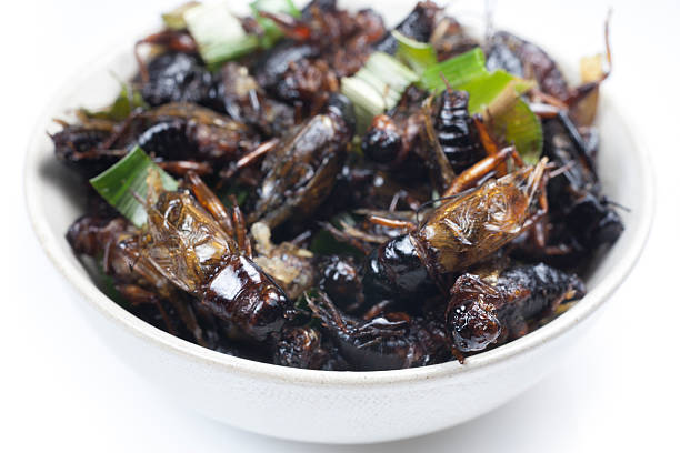 istock Crispy fried insects thai menu food. 527479689