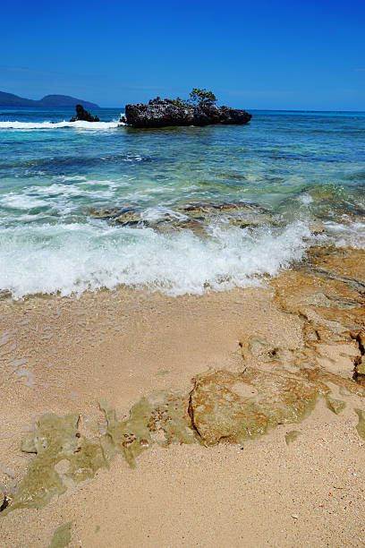 istock Reef, Playa rincon beach, Samana, Dominican republic 527480337