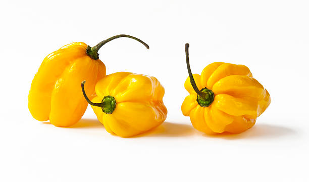 istock Yellow habanero peppers 527480505