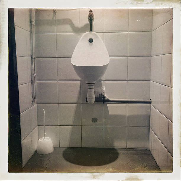 istock Lone Toilet Old Picture Style 527480535
