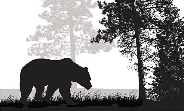 Vector illustration of GrizzlyLife