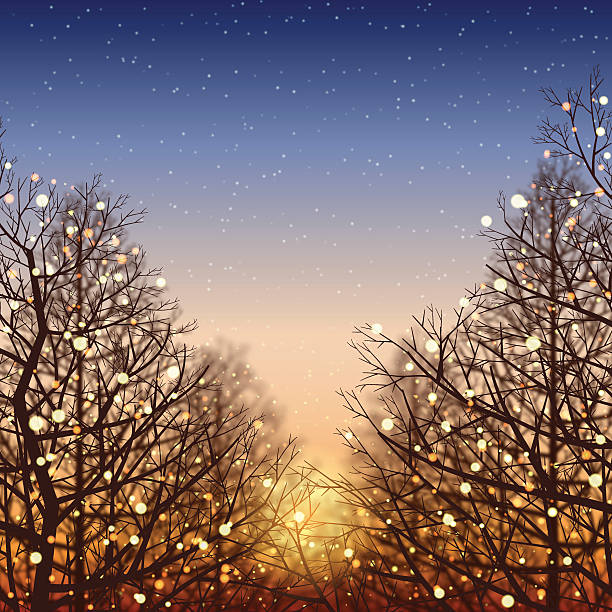illustrazioni stock, clip art, cartoni animati e icone di tendenza di sfondo di inverno [ illuminazione e tramonto ] - tree lights
