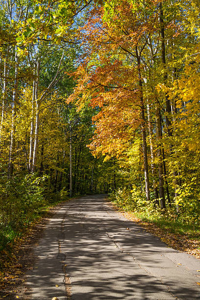 istock Landscape with asphalt road 527494107