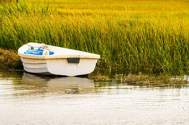 A small rowboat is anchored in a salt marsh on Cape Cod.