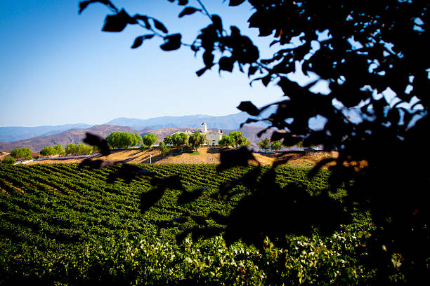 temecula wine country landscape - temecula riverside county california southern california стоковые фото и изображения