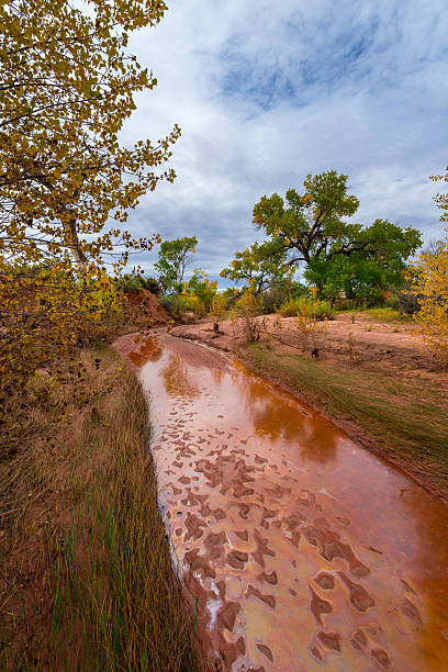 istock Beautiful Autumn Trees Utah Canyonlands Fall Landscape 527497339