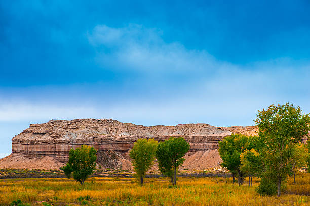 Autumn Trees in the Canyon Utah Fall Landscape