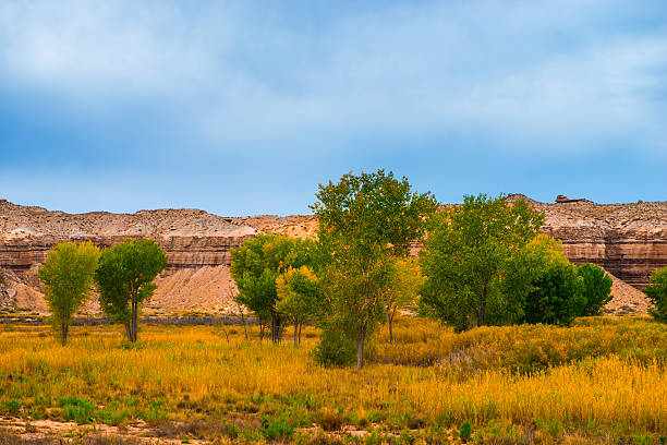 istock Autumn Trees in the Canyon Utah Fall Landscape 527497383