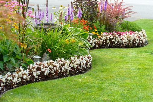 A beautiful and colorful garden featuring perennials and annuals.