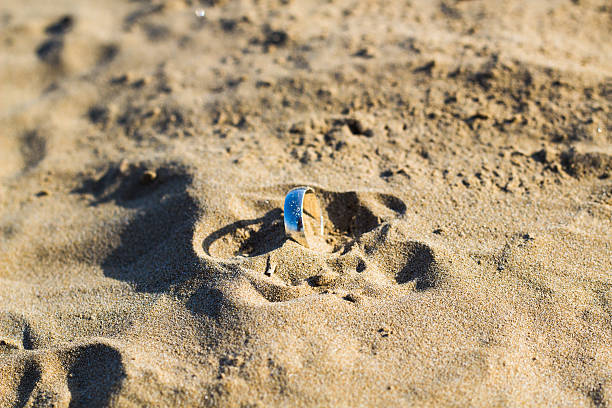 istock The ring found in the beach 527515339