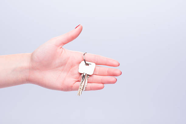 istock Concept of new life 527516183