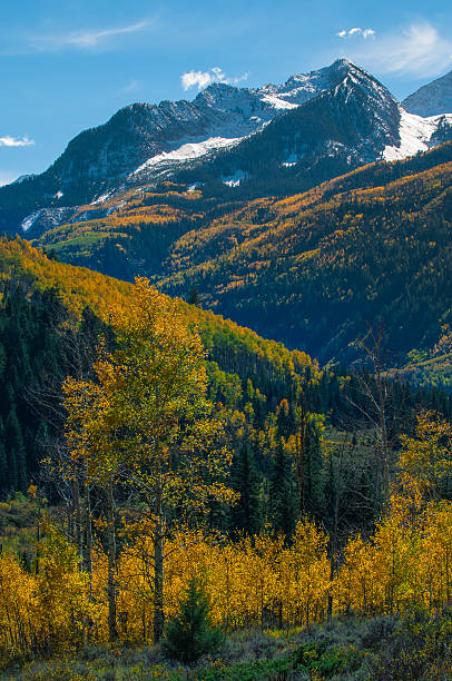 istock Chair Mountain Elk Mountain Range Gunnison County 527516463
