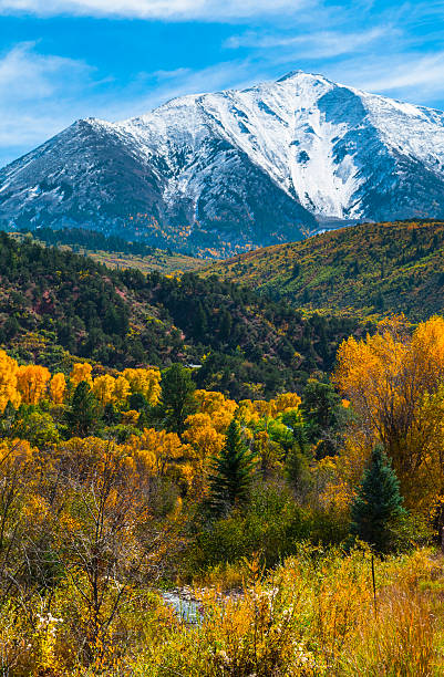 istock Chair Mountain Elk Mountain Range Gunnison County 527516523