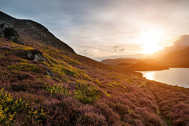 istock Stunning Summer dawn over mountain range with lake and beautiful 527517035
