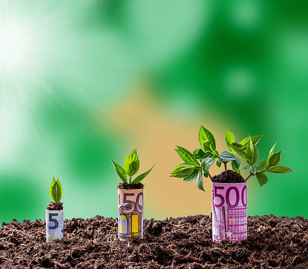 istock Euro money growth on trees 527522954