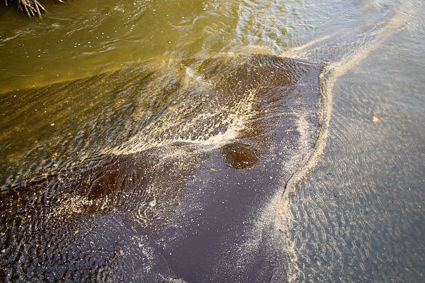 istock Black sea sand,Trat,Thailand 527524266