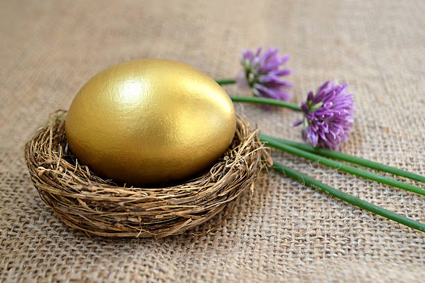istock Golden Easter egg in the nest and chive flowers 527526618