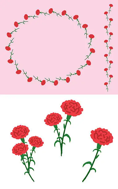 Vector illustration of Carnation