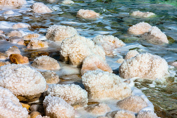 istock Coast of Dead Sea 527533346