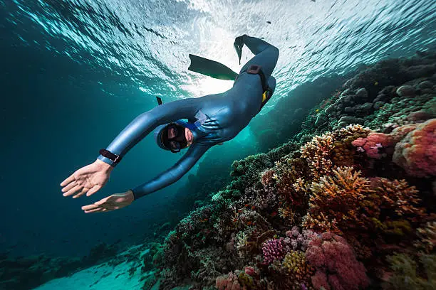 Free diver swimming underwater over vivid coral reef. Red Sea, Egypt