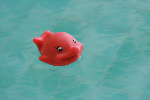 Happy rubber fish toy floating in a swimming pool in daylight