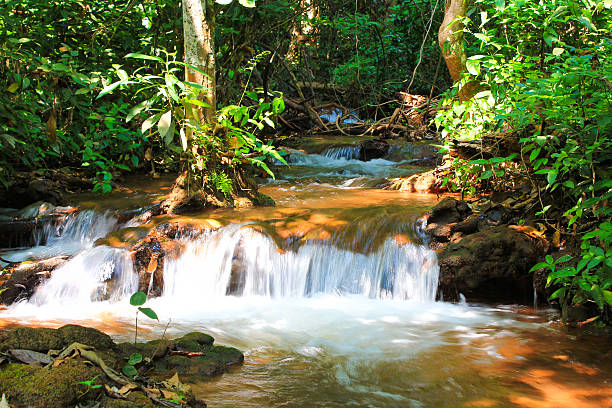 corriente de agua - flowing water stream moss river fotografías e imágenes de stock