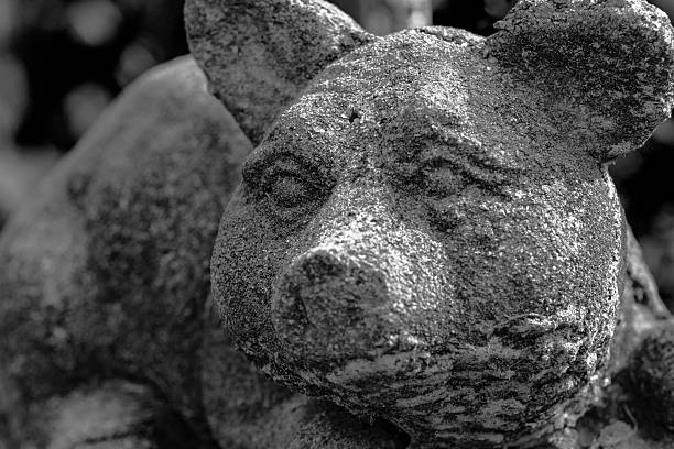 Close up of a moss-covered stone pig lawn ornament in black and white.