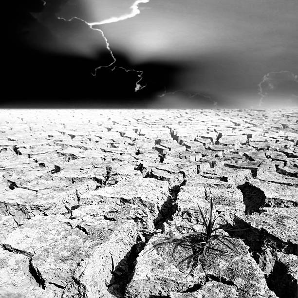 istock black and white crack earth with beautiful sky at sunset 527539466