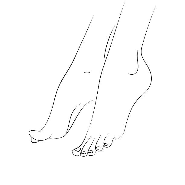 stockillustraties, clipart, cartoons en iconen met feet outline. pedicure concept - pedicure