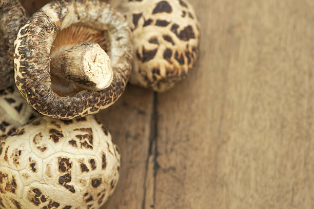 클로즈업-표고버섯 - shiitake mushroom mushroom dried food dried plant 뉴스 사진 이미지